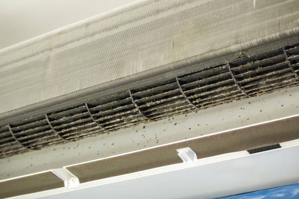Best Professional Duct Cleaning Services  in Lake Kiowa, TX